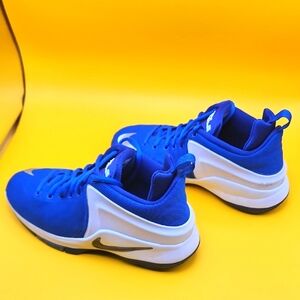 Nike Royal Blue and White Athletic Shoes